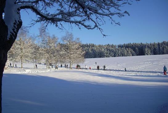 Hotel Hallers Oase F*** 1