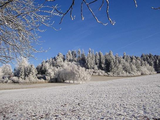 Hotel Hallers Oase F*** 2