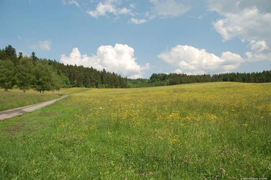 Hotel Hallers Oase F*** 5