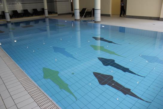 Sonnenhotel Fürstenbauer 5