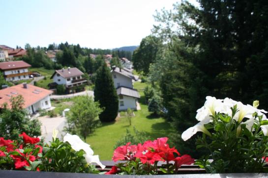 Hotel Sonnleit'n Baviera