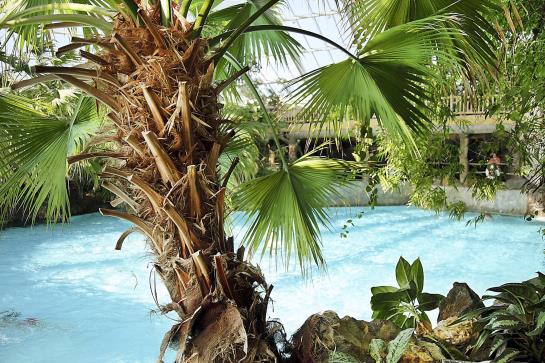 Hotel Center Parcs Bispinger Heide 6