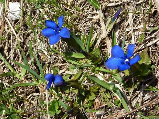 Hotel Restaurant Schneckenhäusl 11
