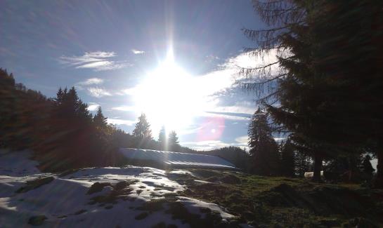 Hotel Restaurant Schneckenhäusl 18