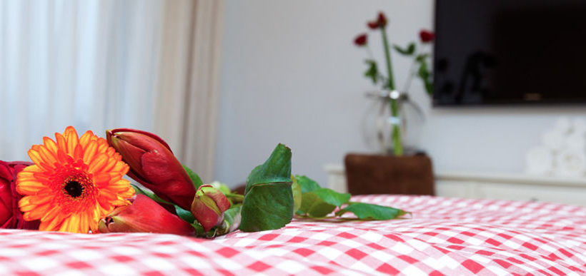 Alpinhotel INzeller 10