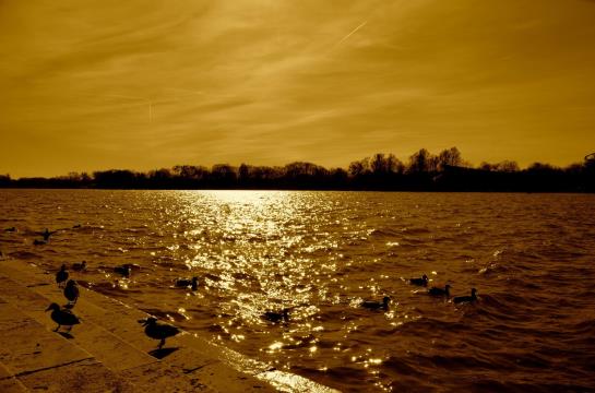 Prohotel Laatzen-hannover 14