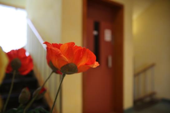 Hotel Zum Weißen Rössel 12