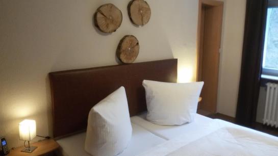 Hotel Waldhaus Wolfental 8