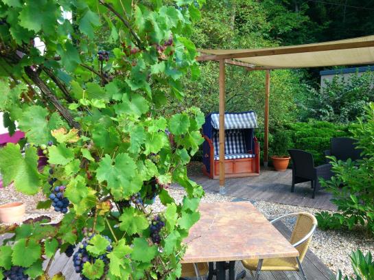 Hotel Waldhaus Wolfental 9