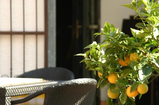 Hotel Marktschaenke 16