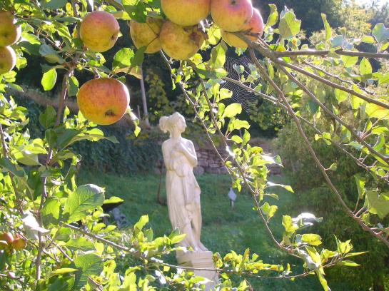 Hotel Weingärtner 6