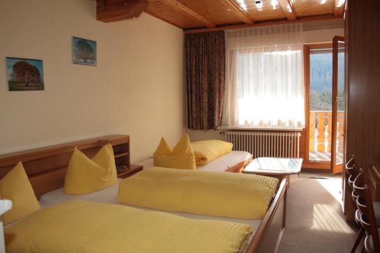 Schwarzwaldhotel Gasthof Hirsch 1