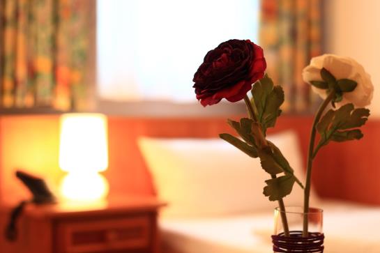 Altstadthotel Fürth 12