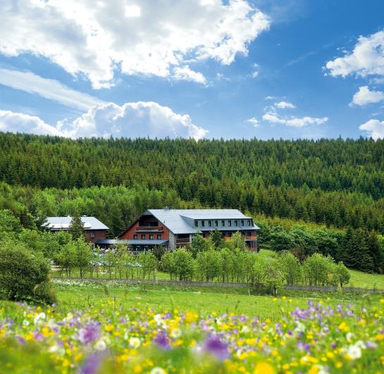 Hotel Jens Weissflog 1