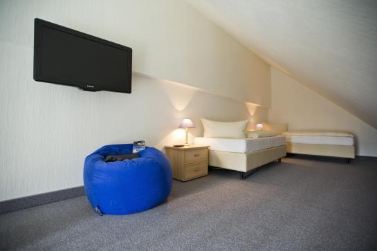 Alpina Lodge Hotel Oberwiesenthal 1