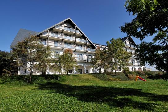 Alpina Lodge Hotel Oberwiesenthal 11