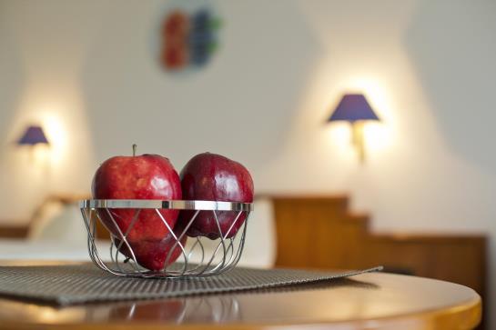 Alpina Lodge Hotel Oberwiesenthal 17