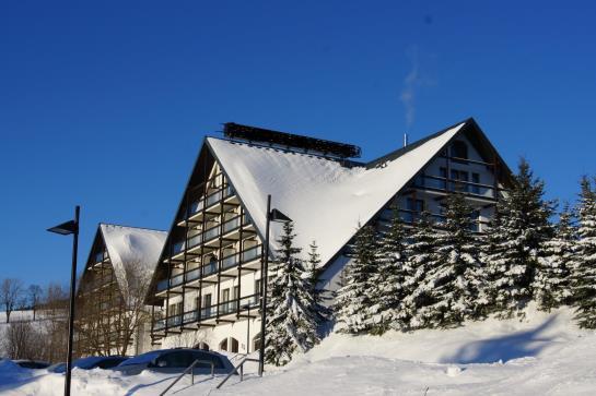 Alpina Lodge Hotel Oberwiesenthal 7