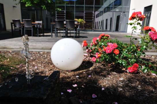 Hotel Borussia Düsseldorf Sport 4