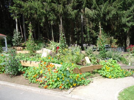 Hotel Langenwaldsee 10