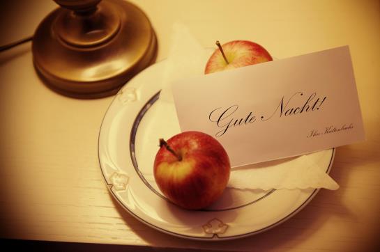 Hotel Langenwaldsee 12