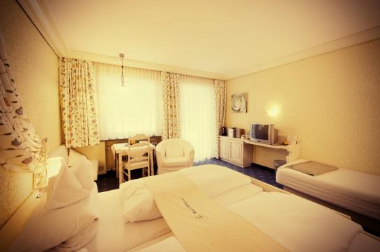 Hotel Langenwaldsee 15