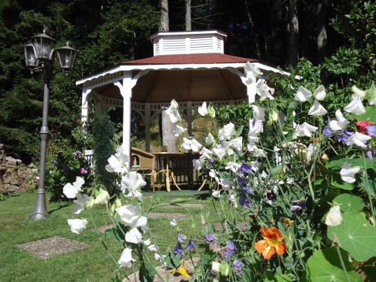 Hotel Langenwaldsee 16