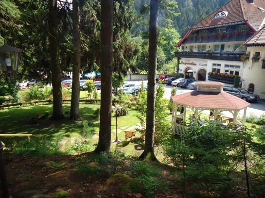 Hotel Langenwaldsee 17