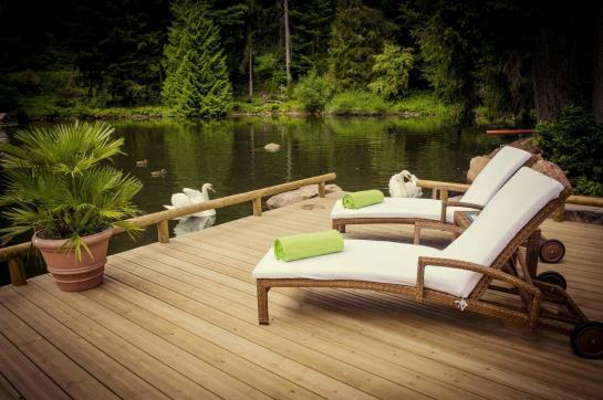 Hotel Langenwaldsee 18