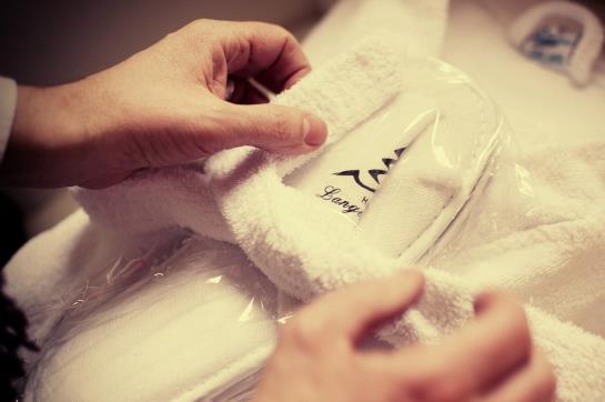 Hotel Langenwaldsee 8