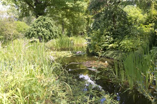 Parkhotel Cup Vitalis 9