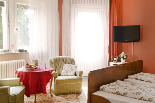 Hotel Kurvilla Am Park 1