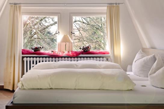 Hotel Kurvilla Am Park 16