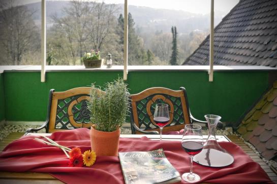 Hotel Kurvilla Am Park 8