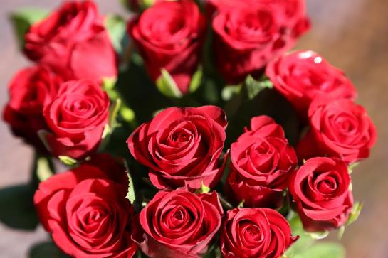 Villa Thea Kurhotel Am Rosengarten 13