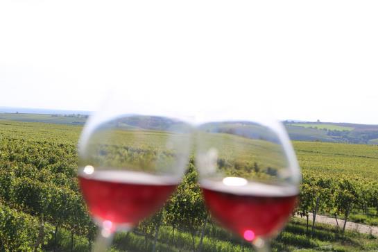 Villa Thea Kurhotel Am Rosengarten 20