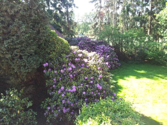 Renken Am See Landhaus 1
