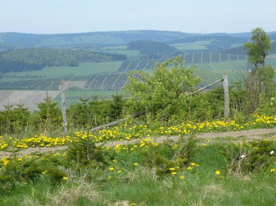 Hotel Wartburg Winterberg 4