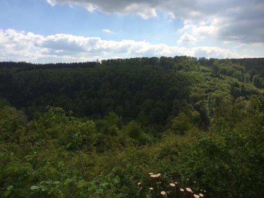 Hotel Wartburg Winterberg 8