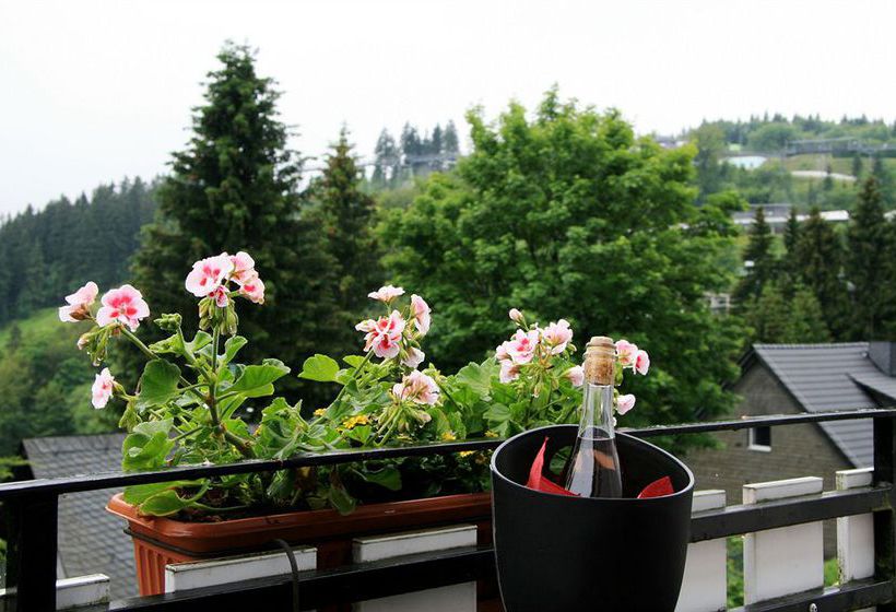 Hotel Das Waldhaus Winterberg 1