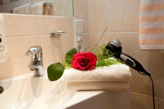 Hotel Forsthaus/ Sauerland 5