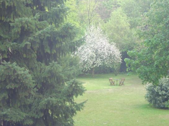 Ringhotel Schlosshotel Kommende Ramersdorf 6