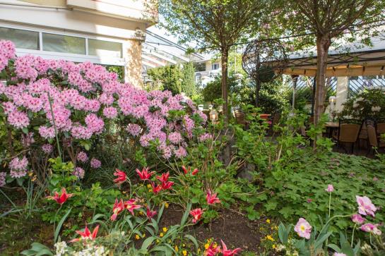 Hotel Krupp Bad Neuenahr Ahrweiler