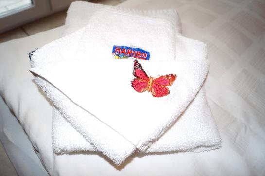 Hotel Pfälzer Hof 1