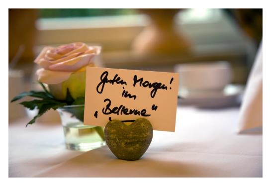 Hotel Bellevue Garni 17