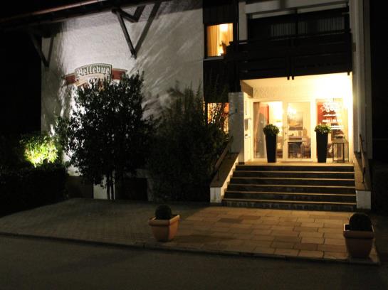 Hotel Bellevue Garni 8