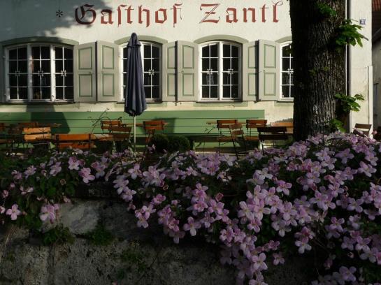 Pension Gasthof Zantl 11