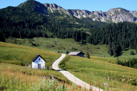 Pension Gasthof Zantl 12