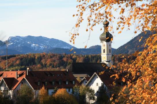 Pension Gasthof Zantl 5