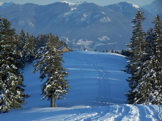 Hotel Haus Sedlmayr 2